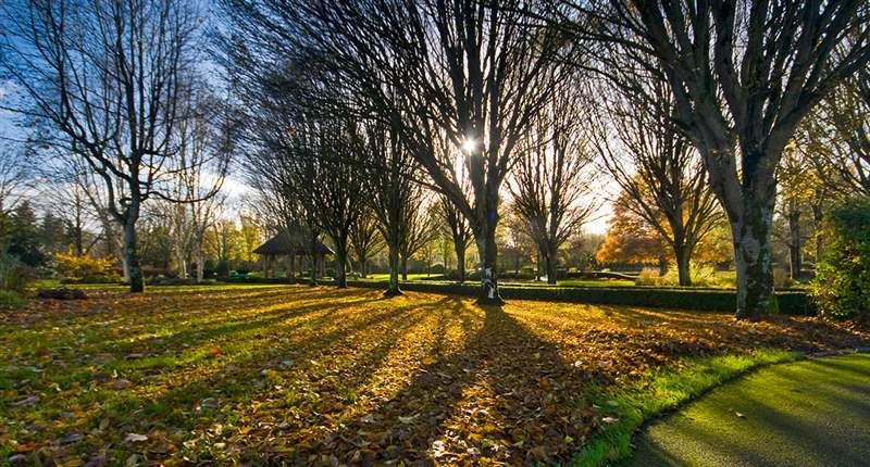 Adare Village Park
